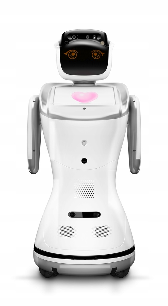 ROBOT SANBOT ELF