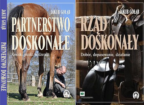 Partnerstwo doskonałe+Rząd doskonały, Gołąb -KONIN