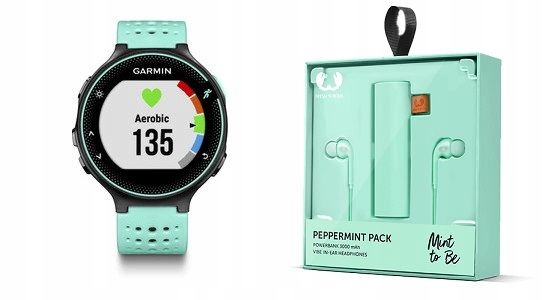 garmin forerunner 235 rebel