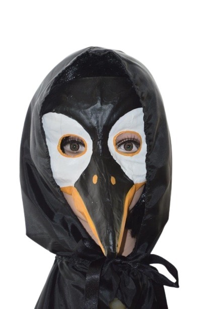 Czapla strój czapla czarna przebranie