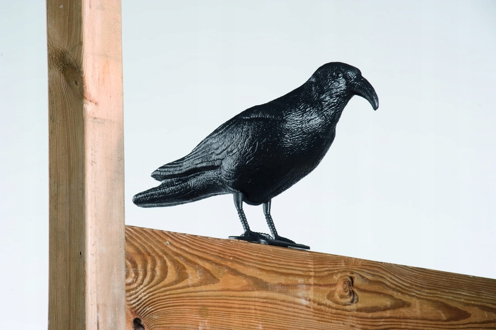  Отпугиватель птиц голубей манекен вороны 42,5см: отзывы, фото и .