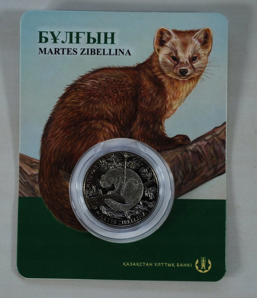 Kazachstan - 100 Tenge 2018 rok - Fauna Kazachstanu - Soból tajgowy