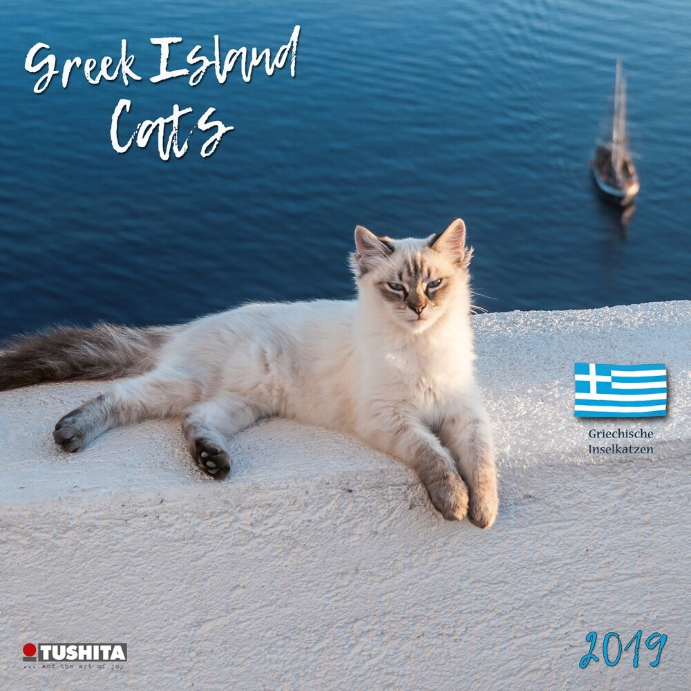 KALENDARZ 2019 -- GRECKIE KOTY kotki -- wyprzedaż