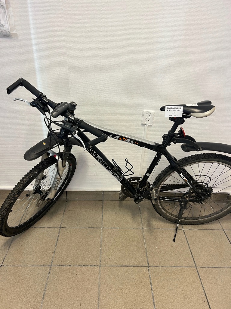 ROWER KROSS LEVEL A4 (1024/24)