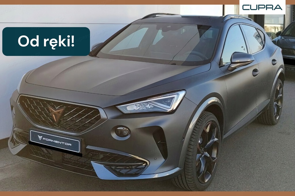 DSWERMG Cupra Terramar Heckstoßstangen Spoiler 2-teilig - Kratzschutz Für 2024-2025 Modelle