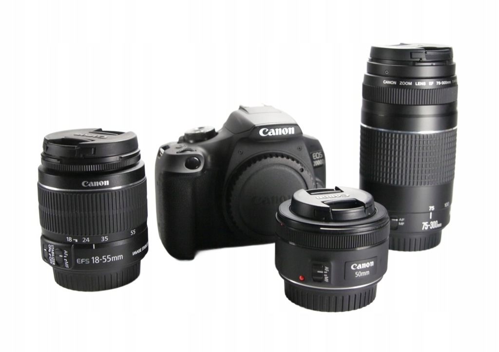 aparat Canon EOS 2000D + 18-55 + 75-300 + 50 ZESTAW UNIWERSALNY