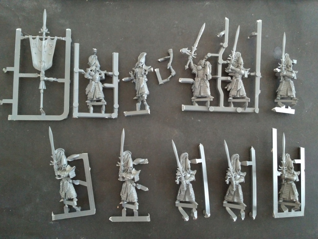 High Elves 10 x Swordmasters WYPRASKI