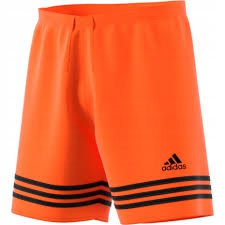 SPODENKI PIŁKARSKIE ADIDAS ENTRADA F14 CLIMALITE