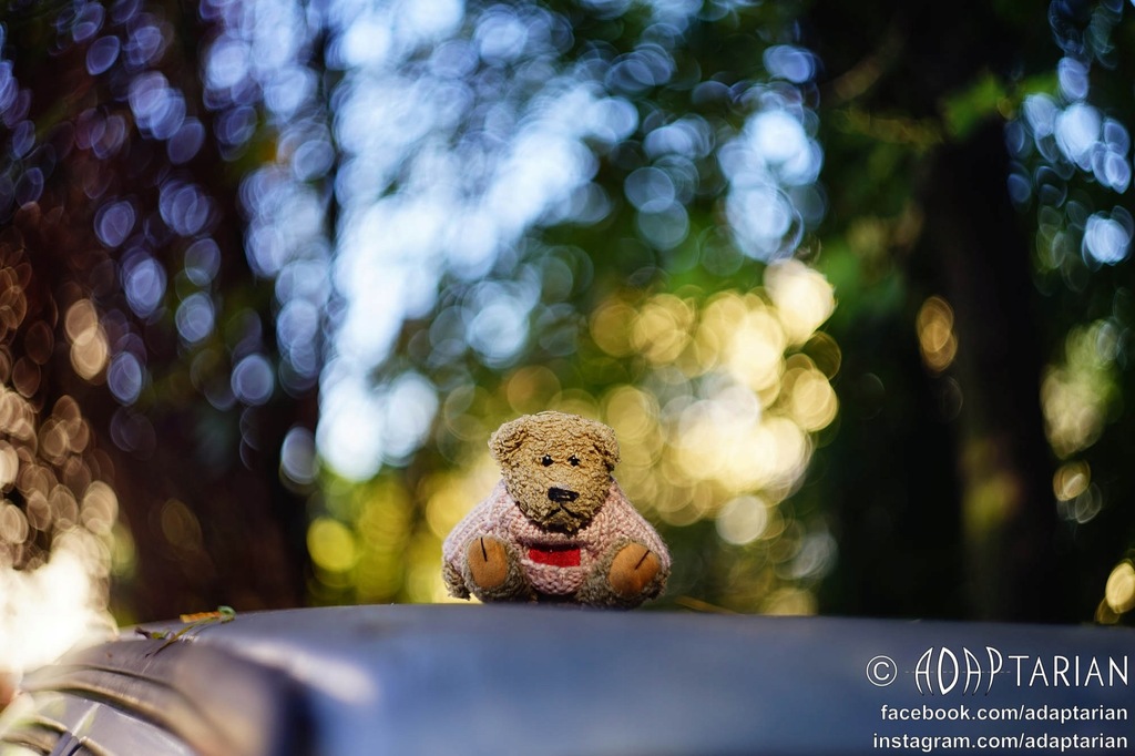 HELIOS 44M-4 58/2 + adapter Micro 4/3 | Sprawny, bardzo ostry - SAMPLE