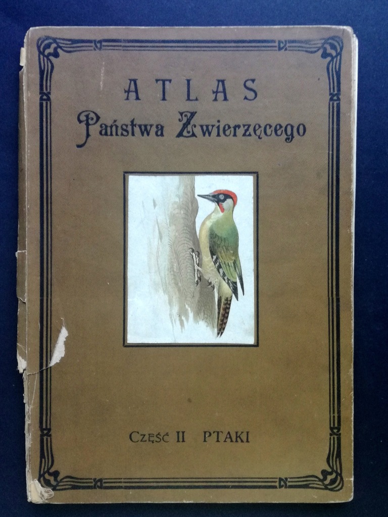 Atlas państwa zwierzęcego wyd.1 PTAKI cz.2 1905 r.