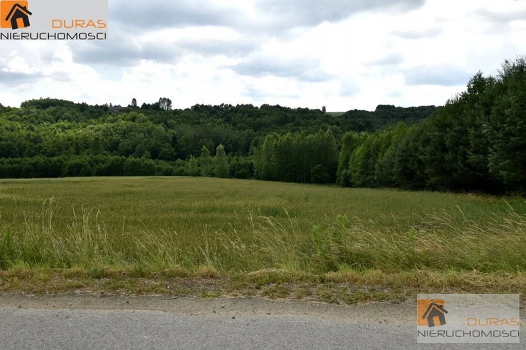 Działka, Zagórze, Jodłowa (gm.), 11400 m²