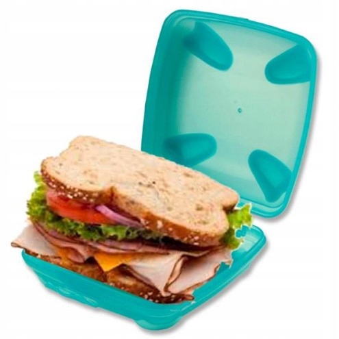 Smash sandwich box morski