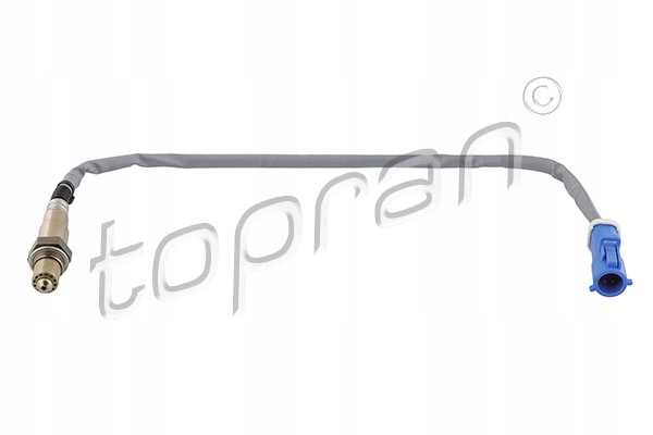 SONDA LAMBDA FOCUS 1.4,1.6 04-
