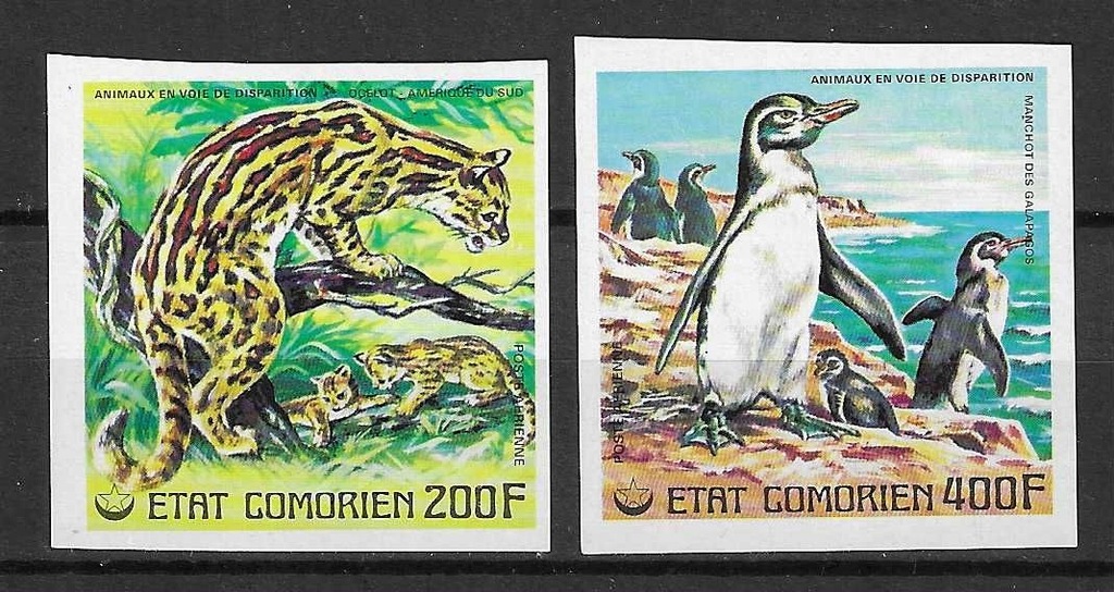 Komory 336-37B - ocelot i pingwin