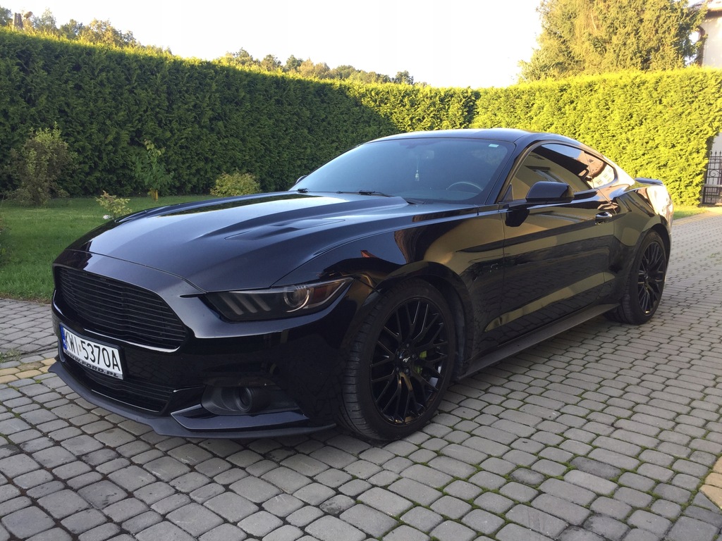 Ford Mustang 5.0 GT PREMIUM 50 Year Edition 2015