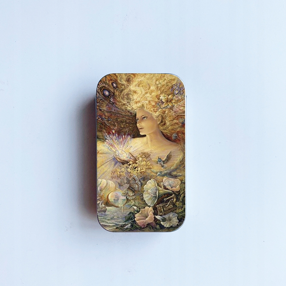 Magnetyczny szwalnia wróżka dama igła case na