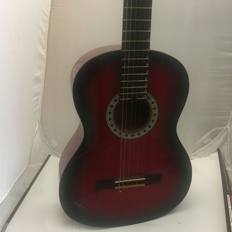 GITARA ALVERA CG100