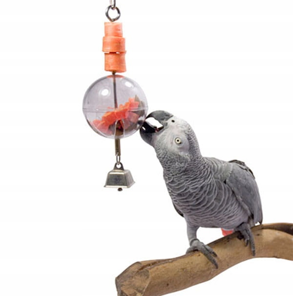 Zabawka dla papug Wiszący bufet Piłka z dzwonkiem