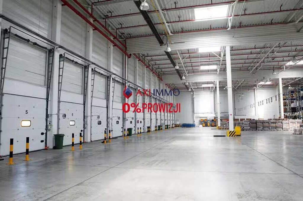 Magazyny i hale, Pruszków, Pruszkowski, 1620 m²