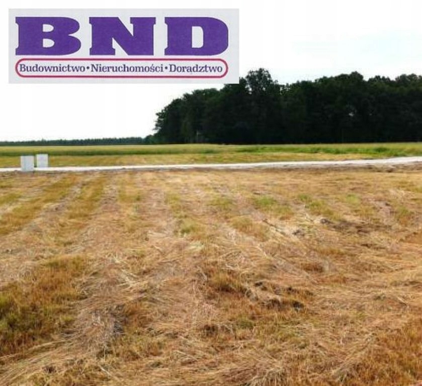 Działka Rudziniec, gliwicki, 1030,00 m²