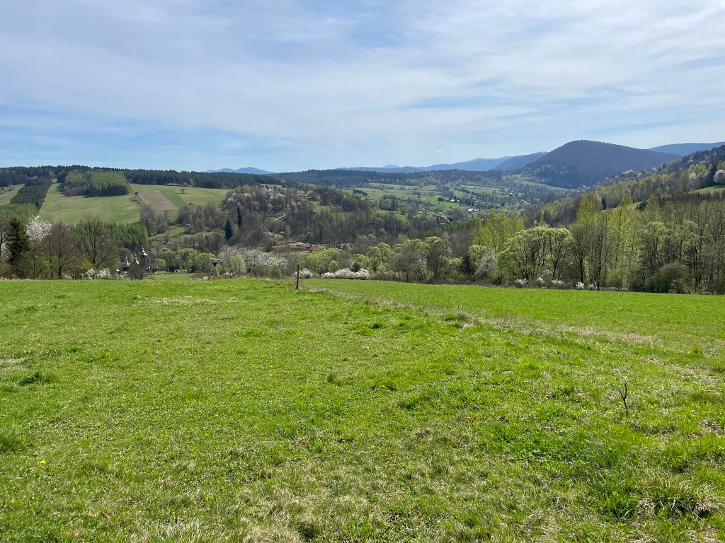 Działka, Kunkowa, 16500 m²
