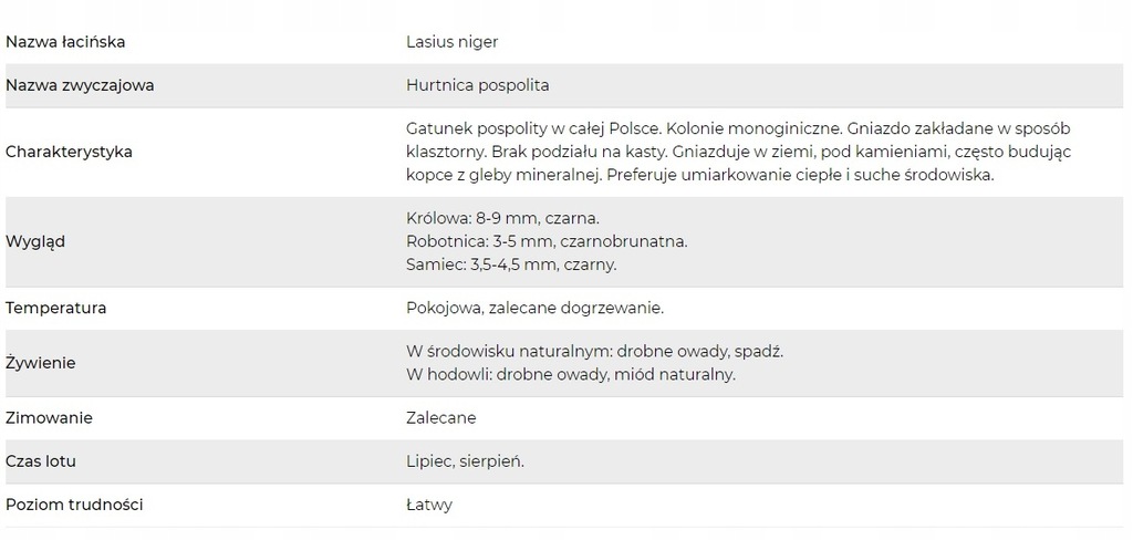 Купить Муравьи Lasius niger, 16-25 рабочих для формикария: отзывы, фото, характеристики в интерне-магазине Aredi.ru