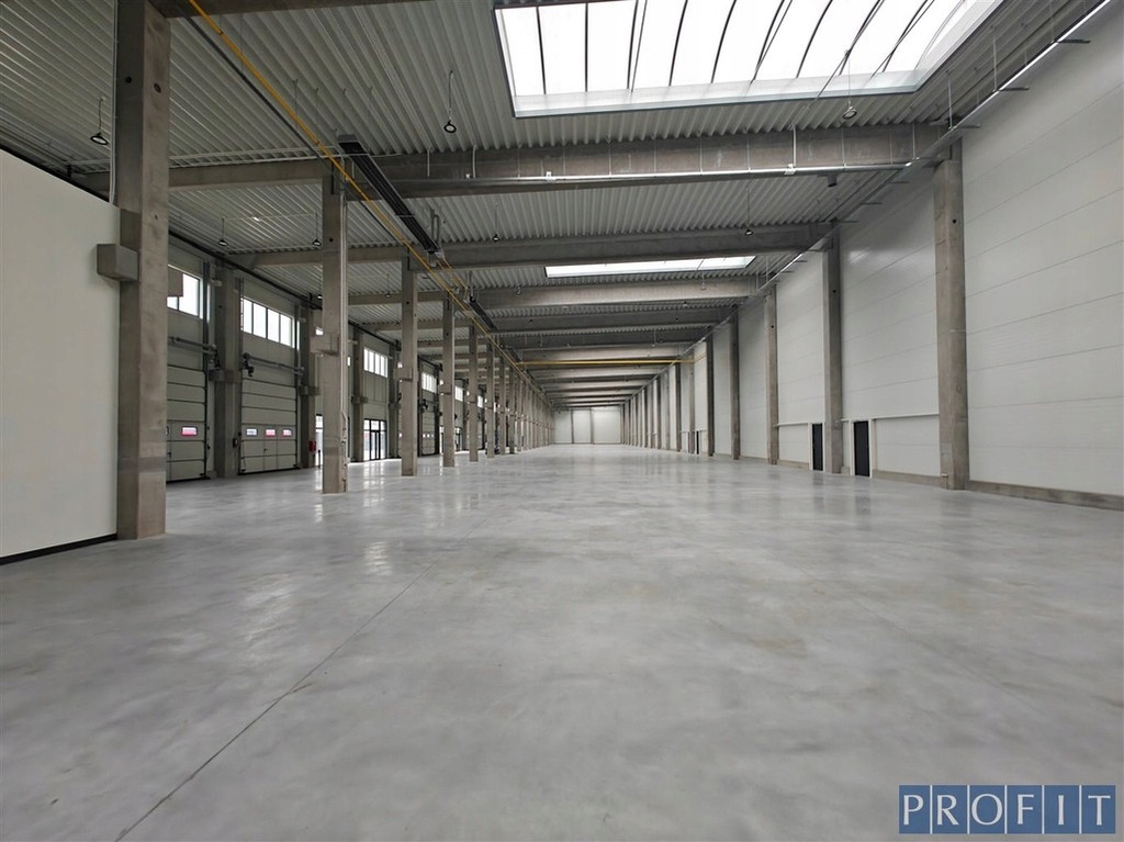 Magazyny i hale, Sosnowiec, 312 m²