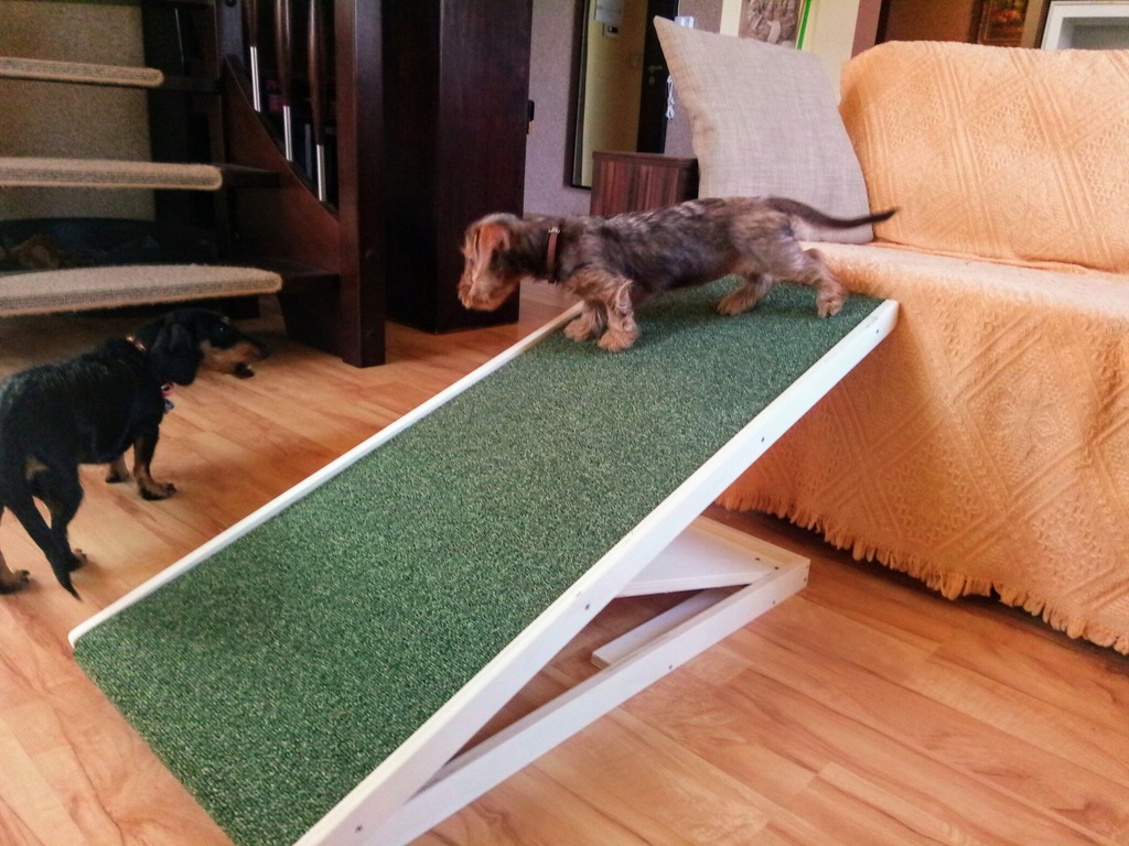 Купить Animal Ramp - регулируемая платформа, пандус для собак HIT ...