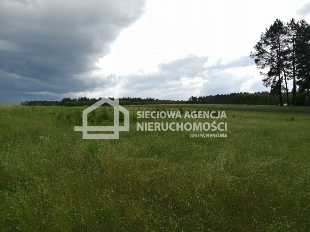 Działka, Nowy Sumin, Cekcyn (gm.), 1348 m²