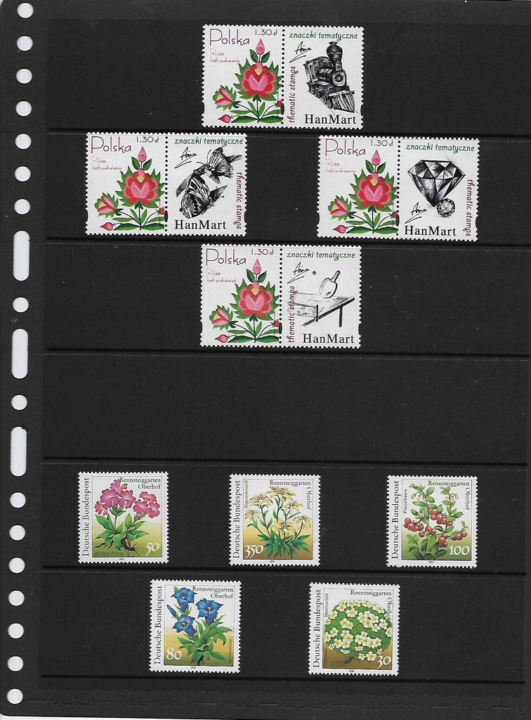 Karty PRINZ dwustronne / kartonowe - TYP 6 - 6076