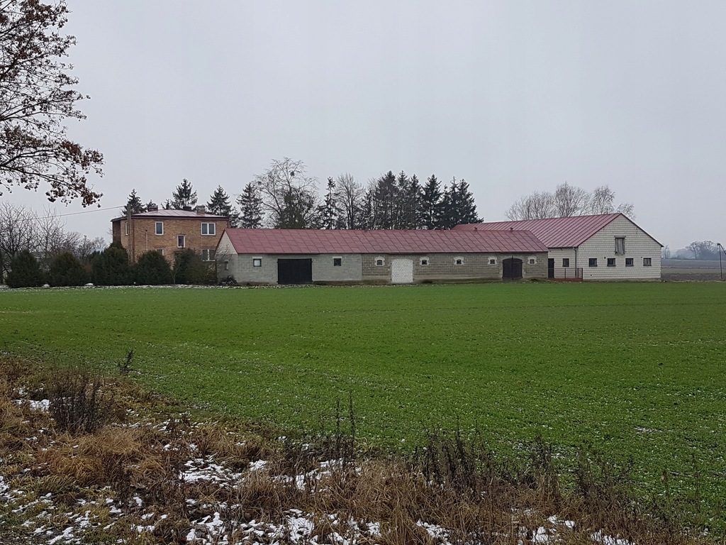 Sprzedam Tanio Gospodarstwo Rolne Pomorskie Sprzedam gospodarstwo rolne 21 ha, do negocjacji - 7748873729