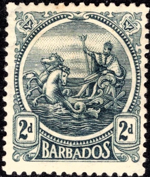 kol.bryt.Barbados sea horse 2 d.czysty *