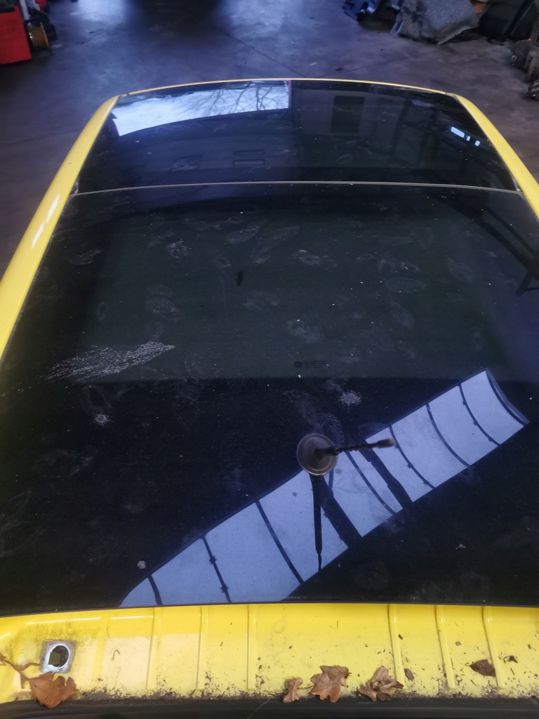 DACH PANORAMA FIAT 500L 12-17