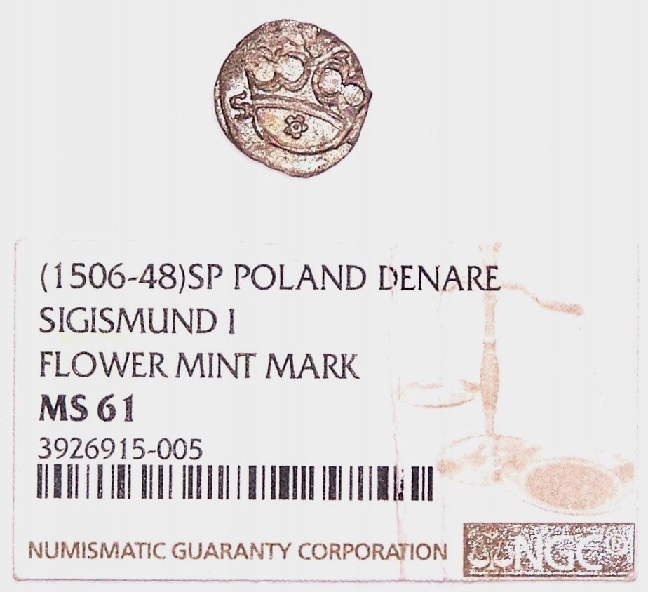 1 Denar-1546; S*P(z różą); R4; ngc MS61.