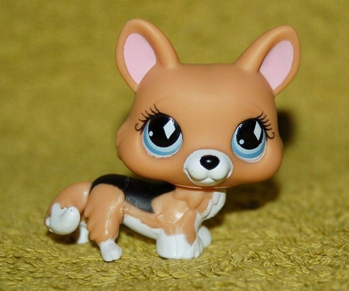 Lps hotsell corgi 639