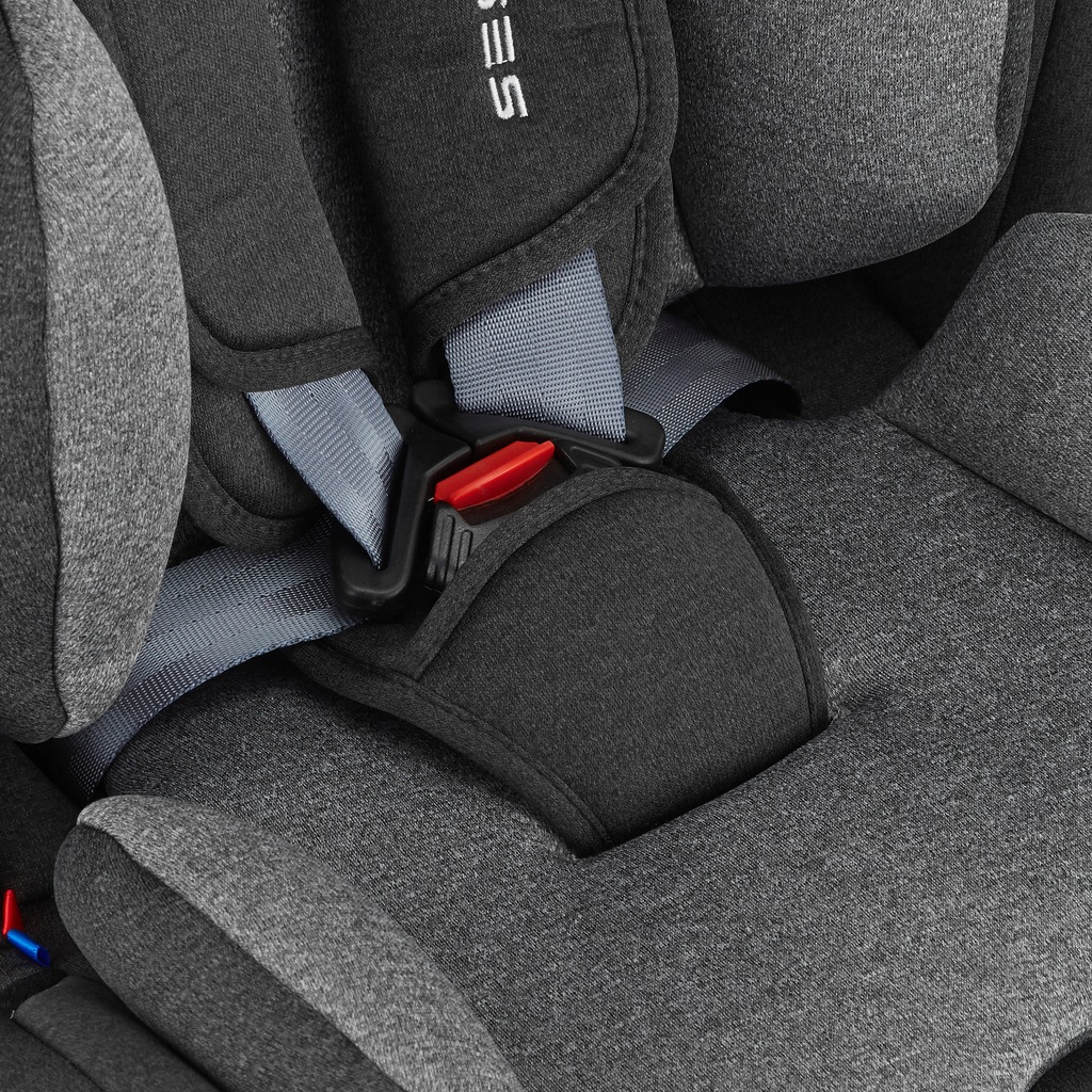 Купить Автокресло Sesttino Massiv ISOFIX 0-36 кг.: отзывы, фото, характеристики в интерне-магазине Aredi.ru