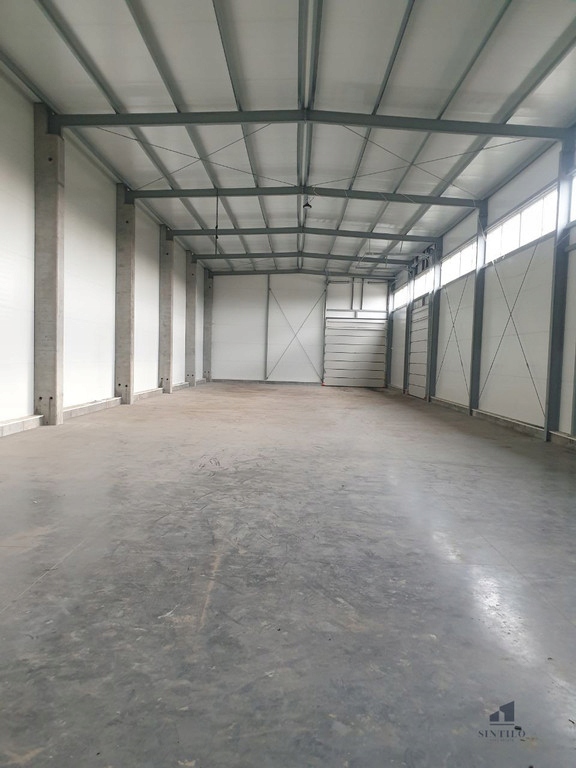 Magazyny i hale, Warszawa, Wilanów, 998 m²