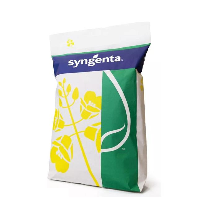 Rzepak ozimy SY Ilona C1 2mln Scenic Gold Buteo Start