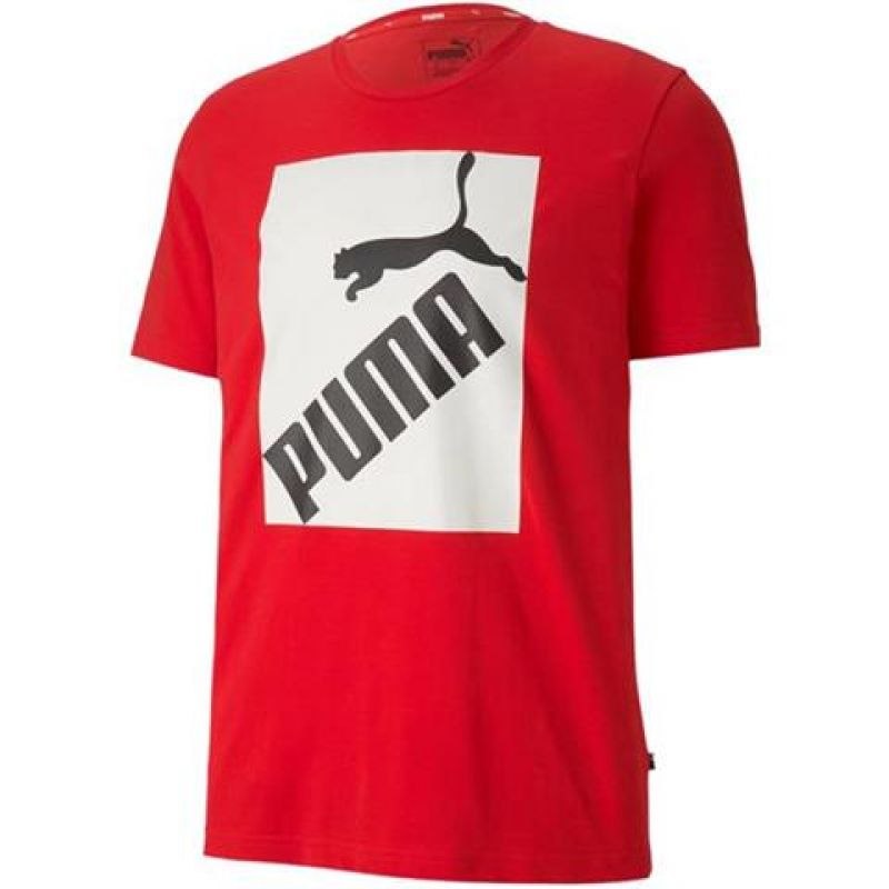 Koszulka Puma Big Logo Tee M 581386 11