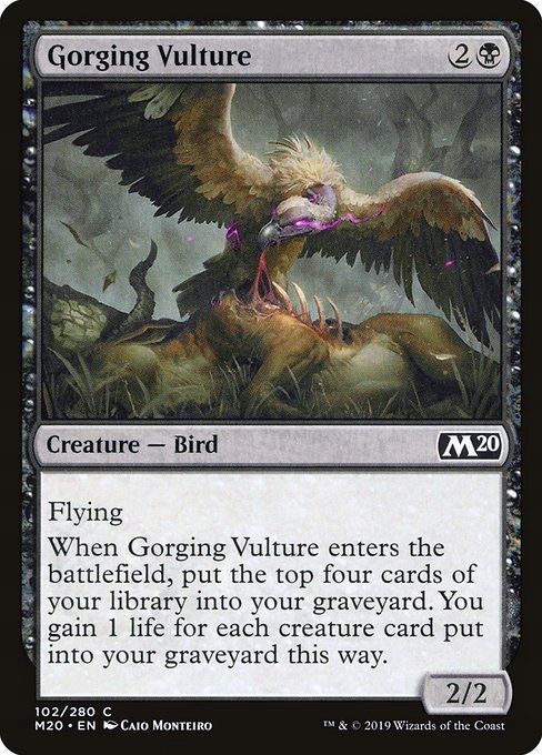 MtG: Gorging Vulture (M20)