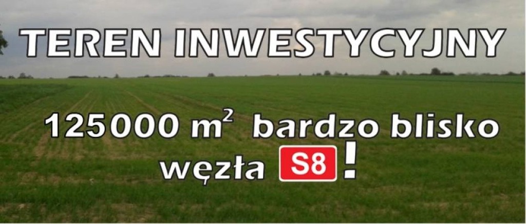 Działka, Zduńskowolski (pow.), 125000 m²