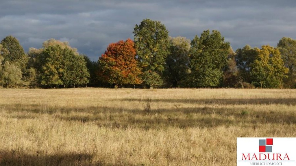 Działka Dobra (Szczecińska), policki, 2000,00 m²