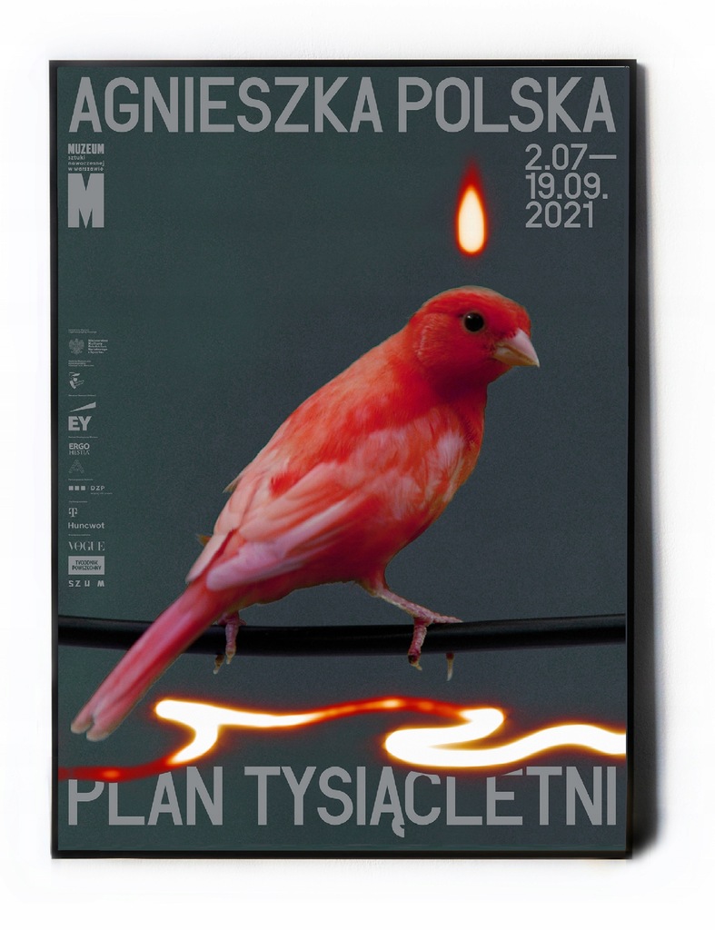 Plakat Agnieszka Polska 'Plan Tysiącletni' B1