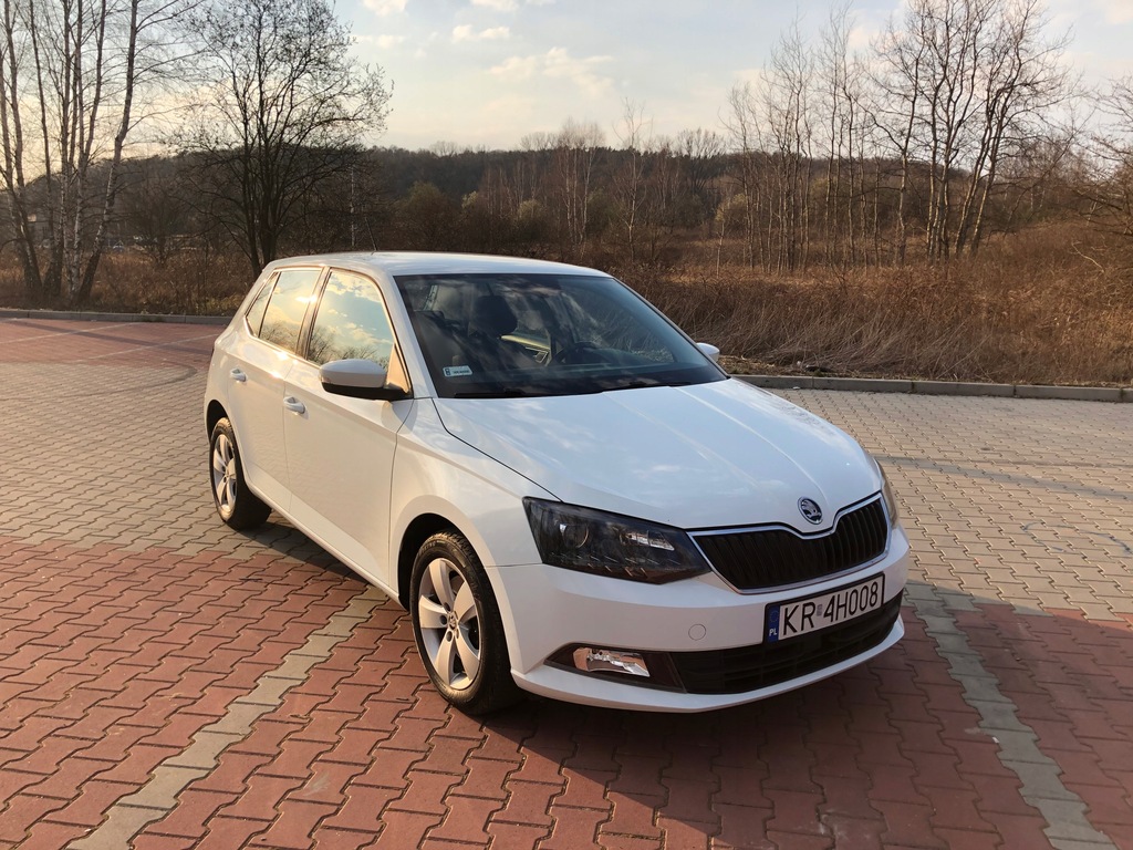 Купить Skoda Fabia Style 1.2TSI 110KM автосалон FV23% владение: отзывы, фото, характеристики в интерне-магазине Aredi.ru