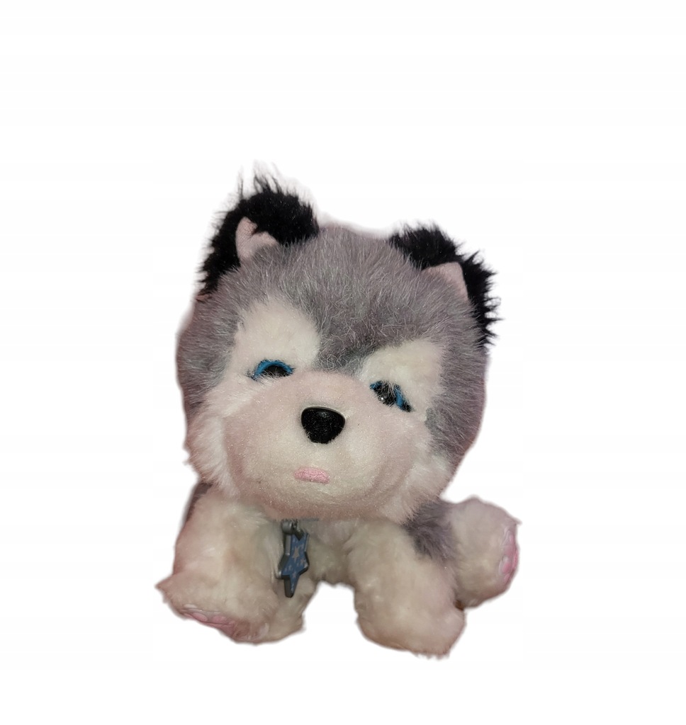 Husky little live pets online