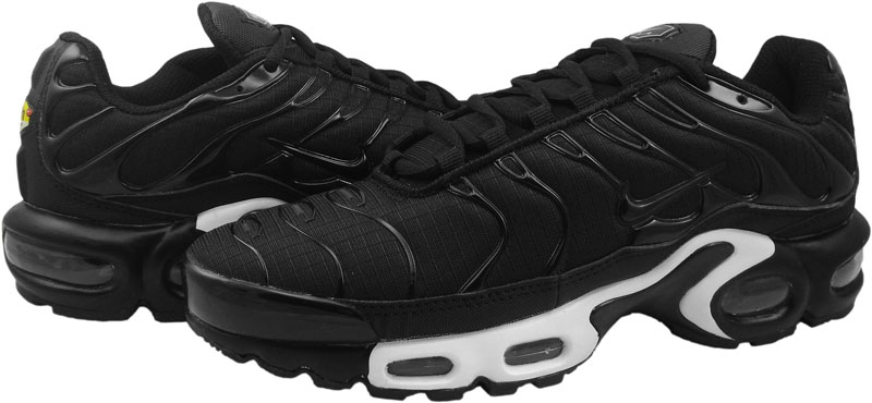 nike air max plus 42