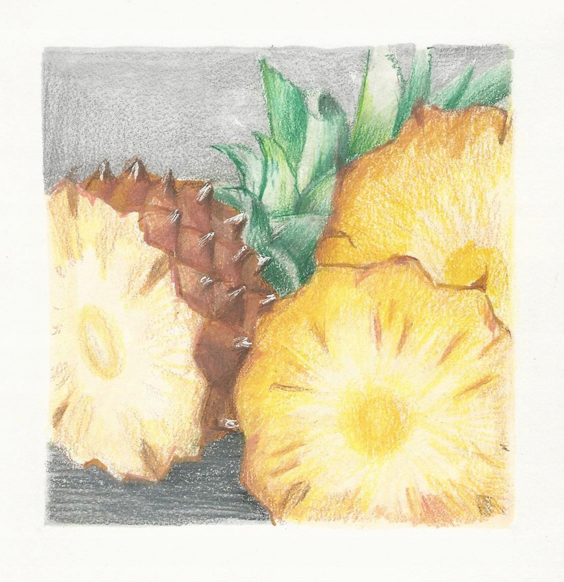 Owoce - ananas - rysunek / ilustracja 12x12cm