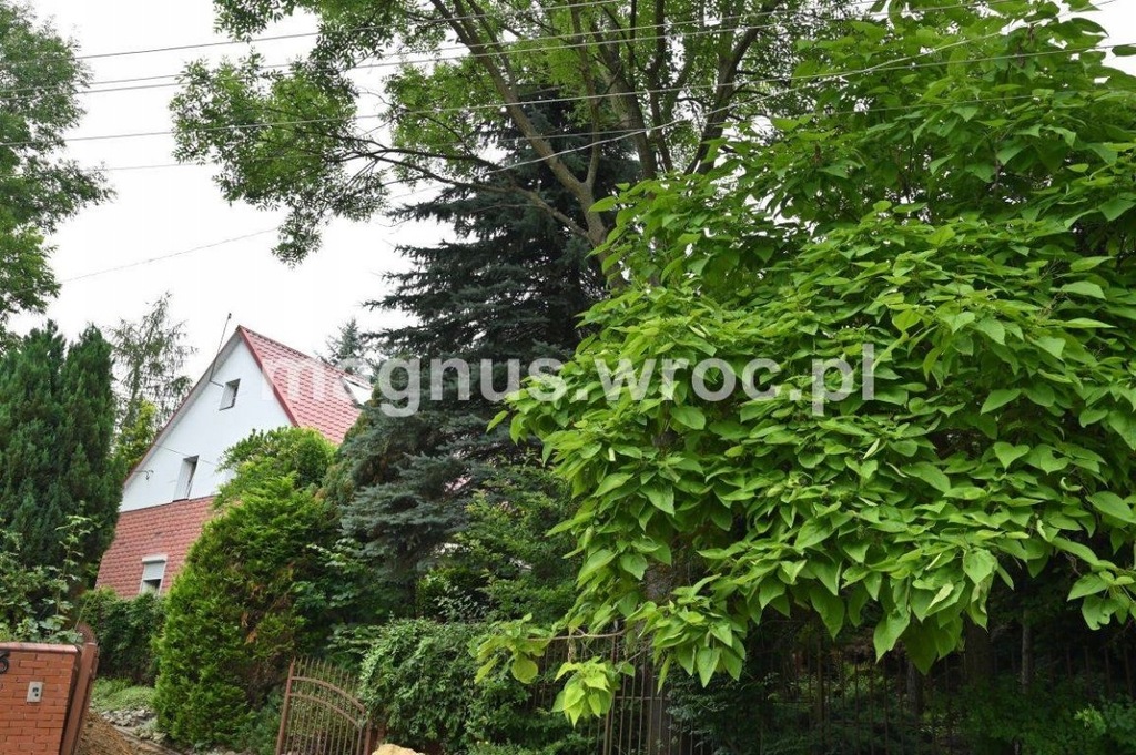 Dom, Cienkowice, Ciepłowody (gm.), 160 m² 10955836437 oficjalne