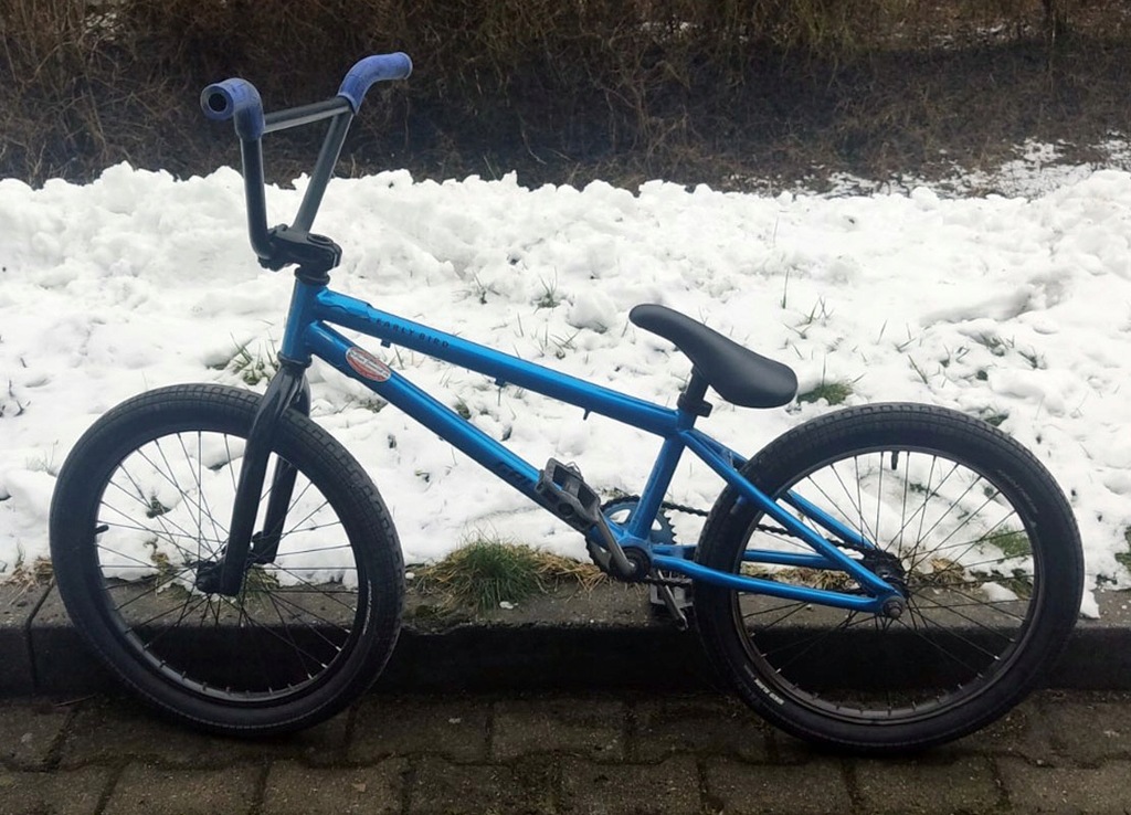 Rower BMX EARLY BIRD GALAXY 20