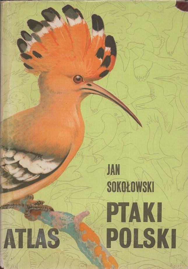 Sokołowski - 'Atlas ptaki Polski Grzegorz Rosiński